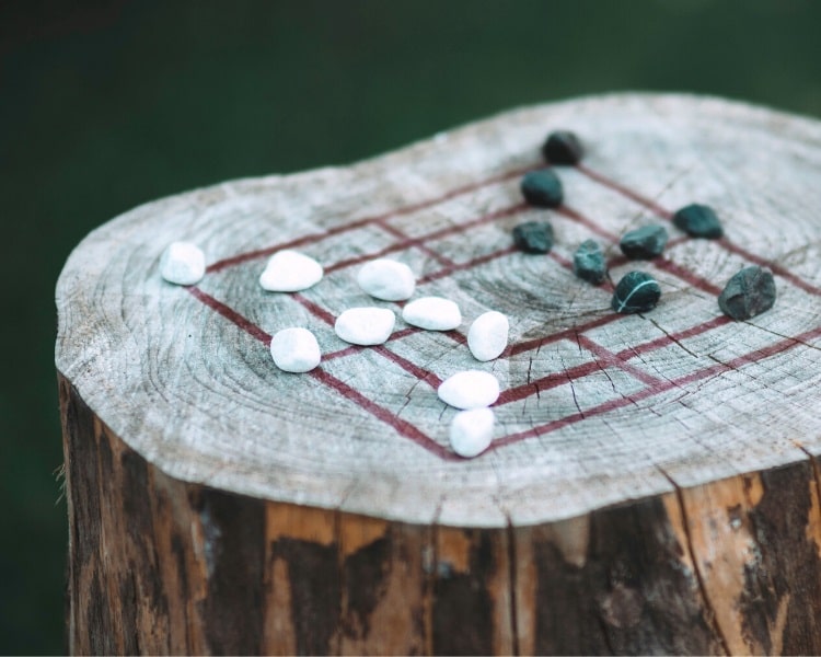 Tree stump used as a game board