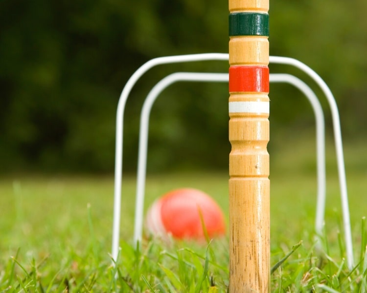 Croquet wickets