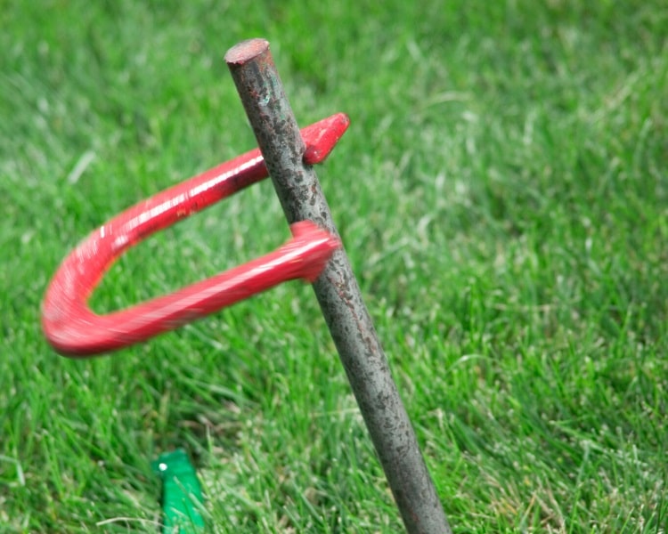 Horseshoe and stake on grass