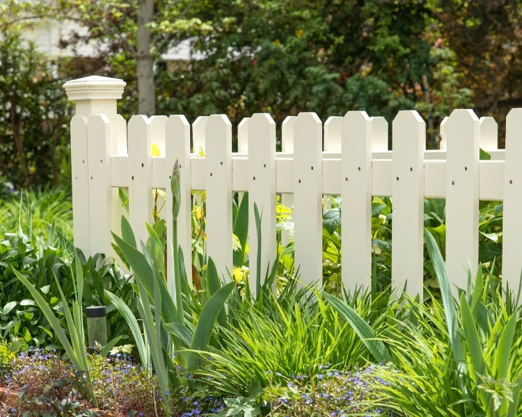 Backyard wooden fence