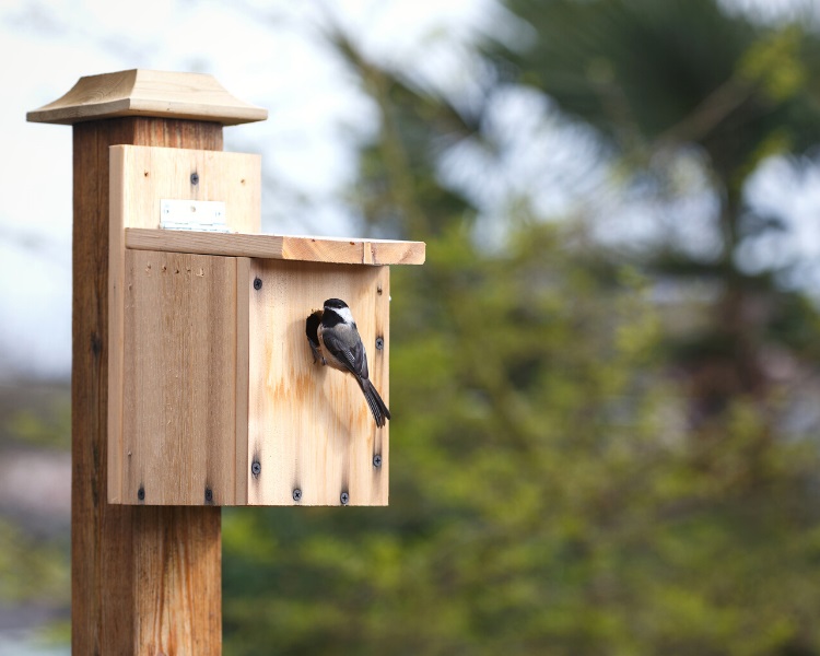 Small birdhouse attached to pole