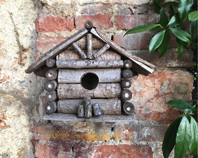 Birdhouse attached to wall