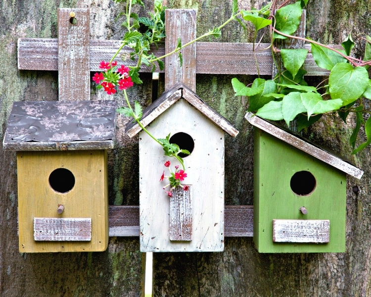 Three birdhouses in different colors