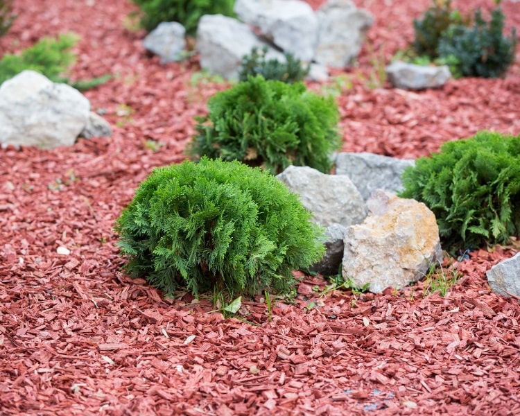 Mulch bed