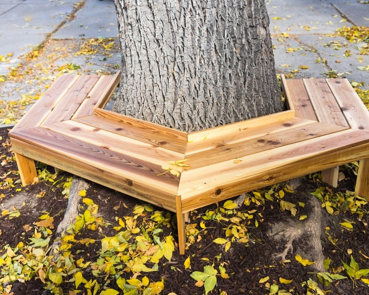 Tree bench