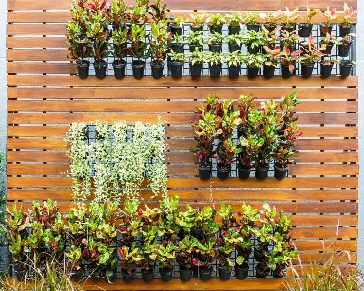 Vertical garden