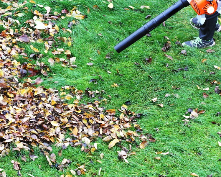 Leaf blower in action