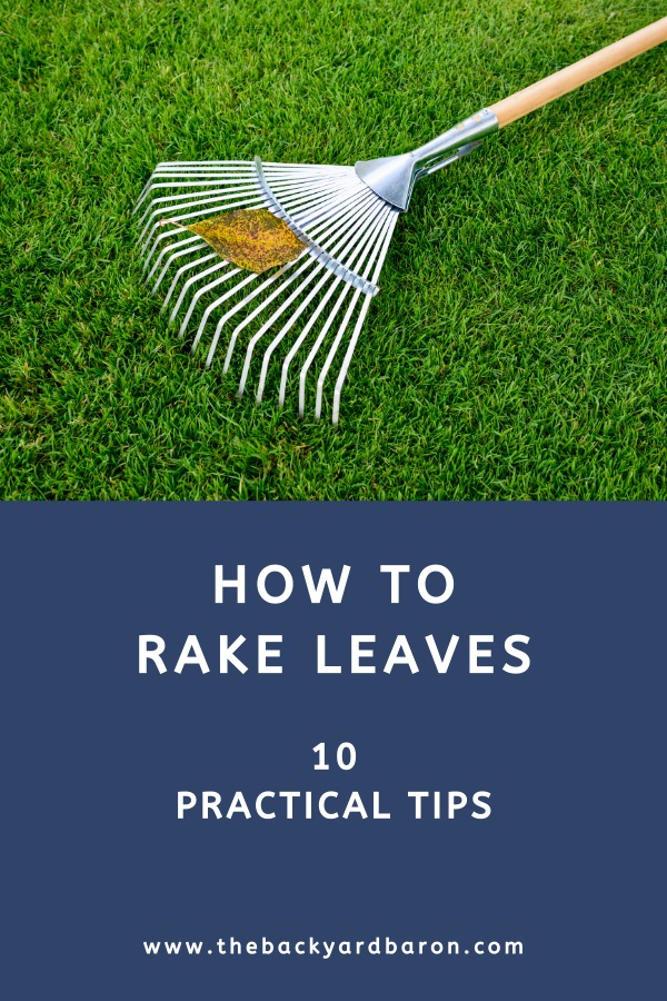 Guide to raking leaves