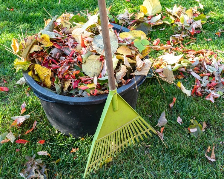 Leaf rake