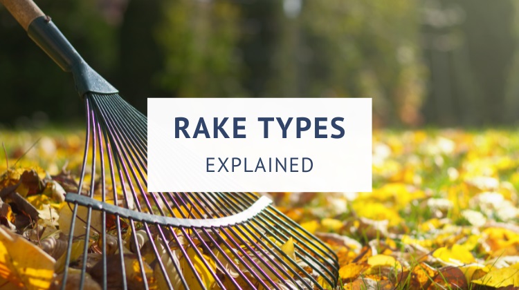 Types of rakes explained