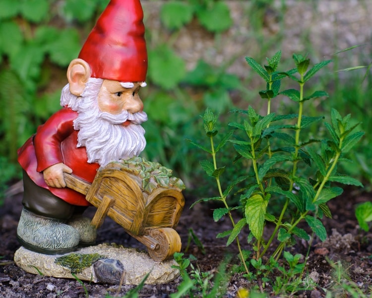 Wheelbarrow gnome