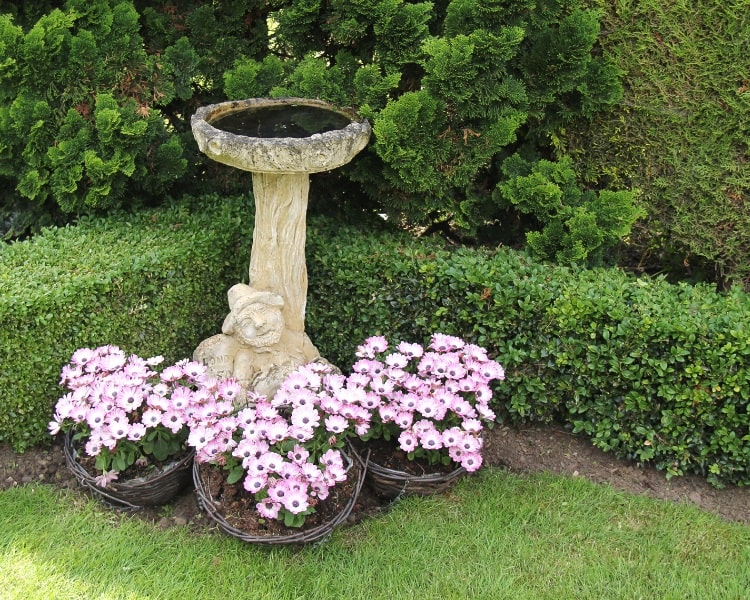 Stone Statue Bird Bath