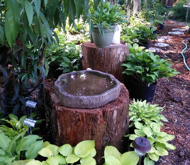 Tree Stump Bird Bath