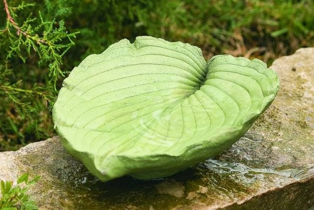 DIY Concrete Leaf Birdbath