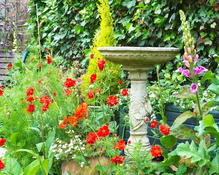 Stone Bird Bath