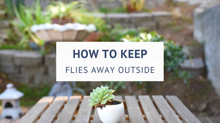 How to get rid of flies on the patio