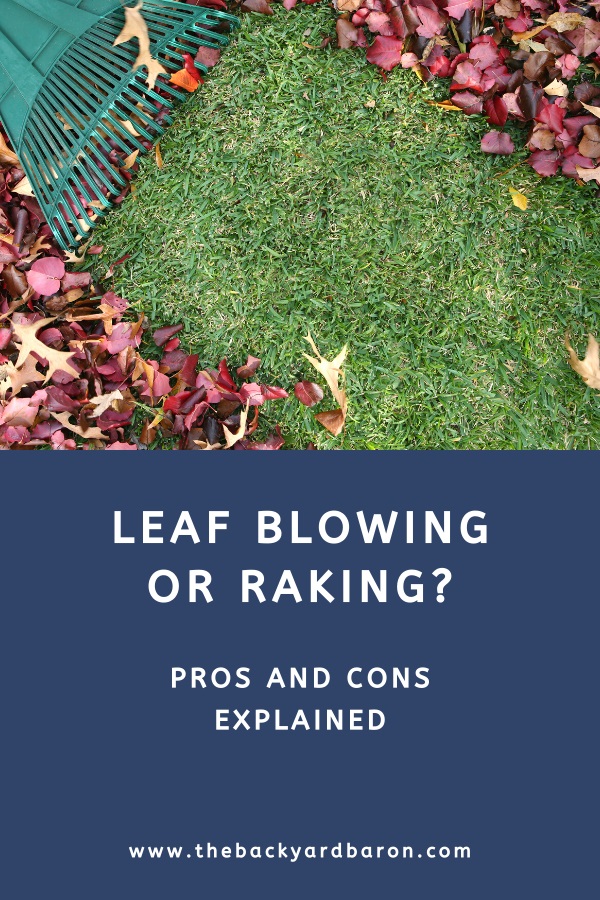 Leaf blowing or raking?