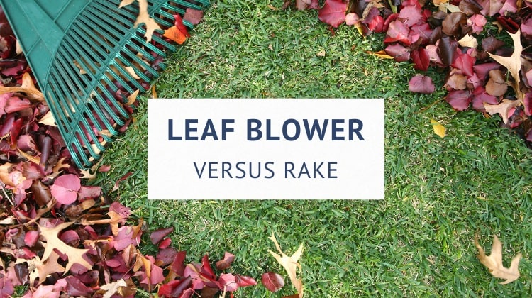 Leaf blower vs rake