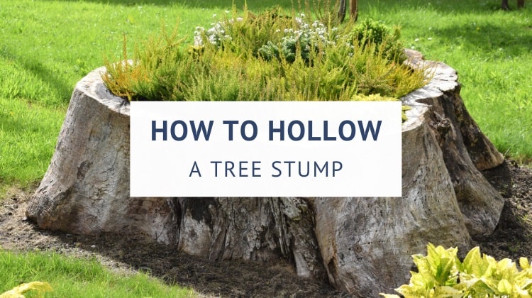How to hollow out a tree stump