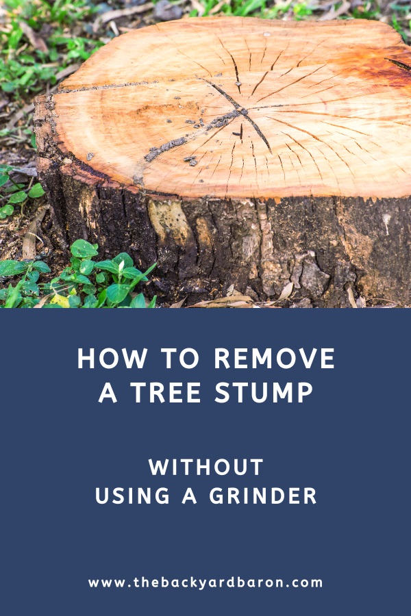 Ways to remove a tree stump without using a grinder (guide)