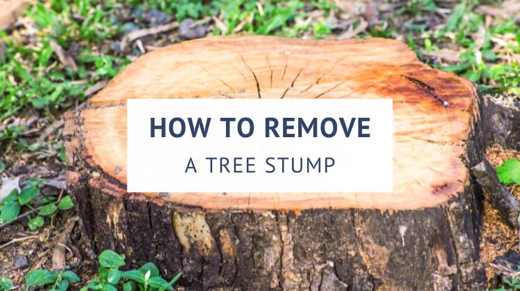 How to remove a tree stump without a grinder