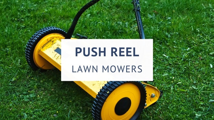 Best push reel lawn mowers
