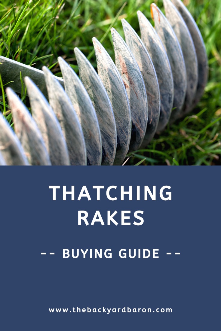 Thatch rake buying guide
