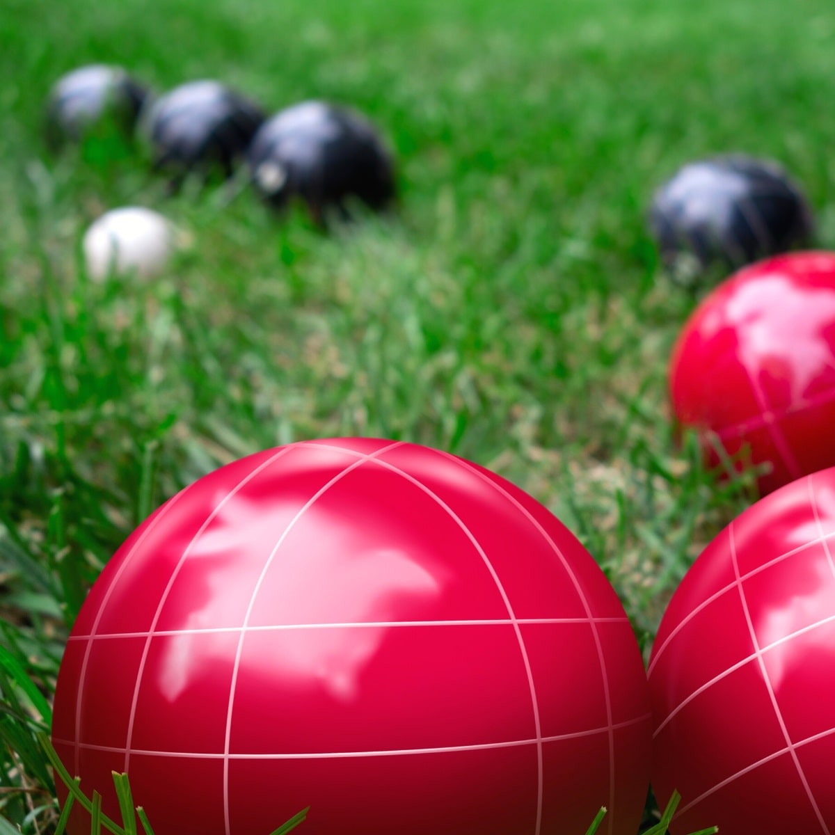 Bocce ball set