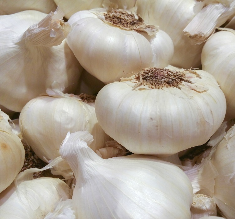 Garlic cloves