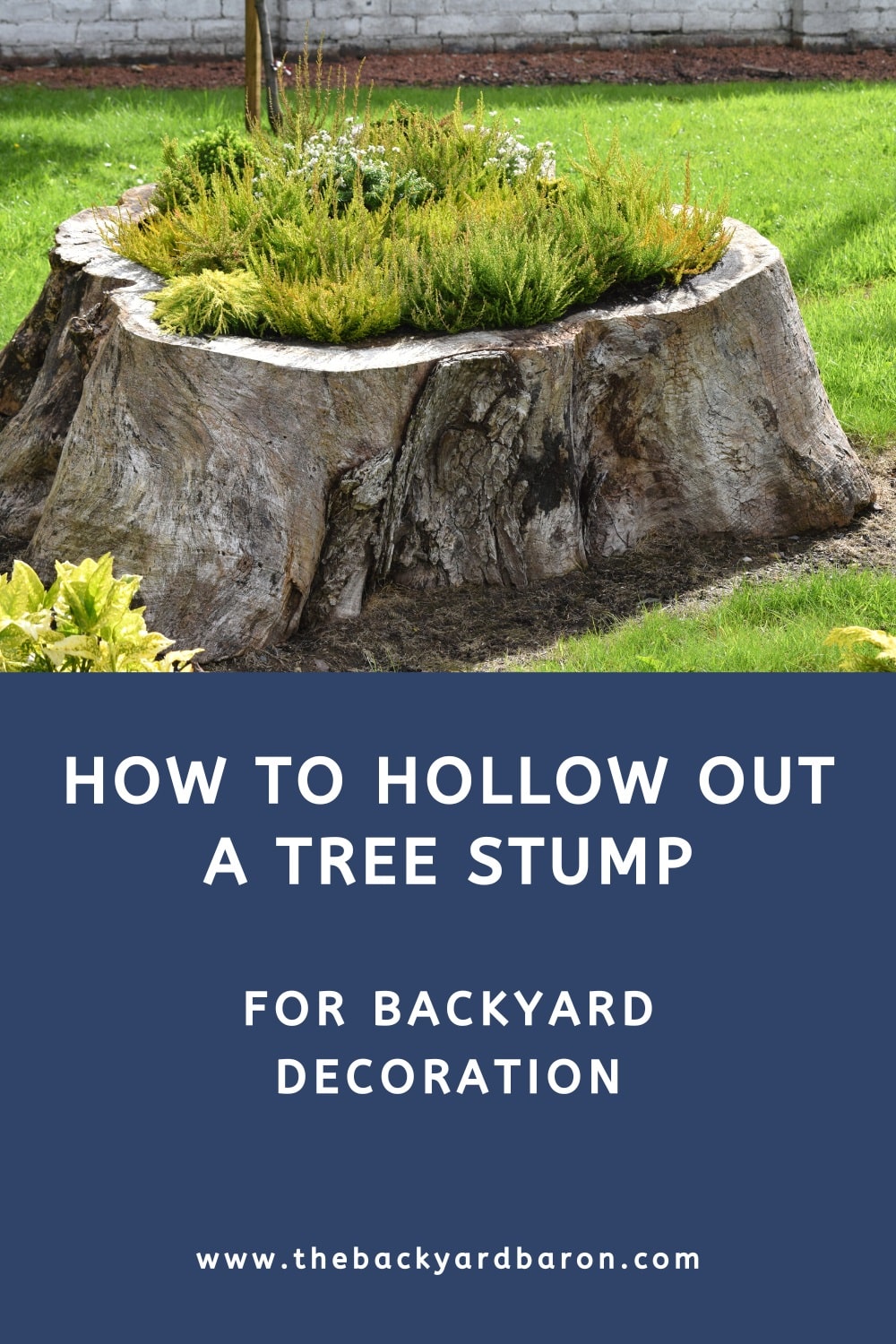 Guide to hollowing out a tree stump
