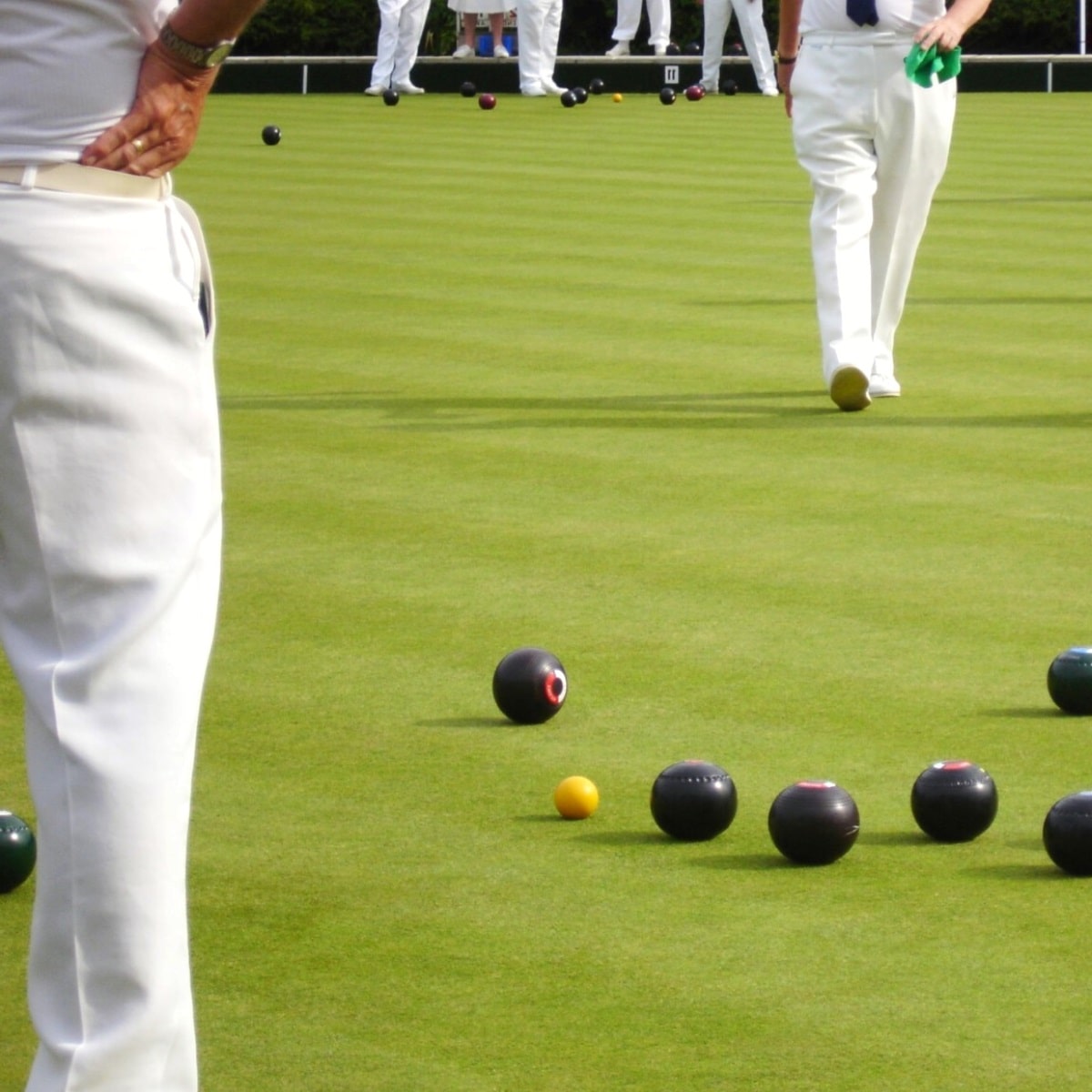 Lawn bowling game