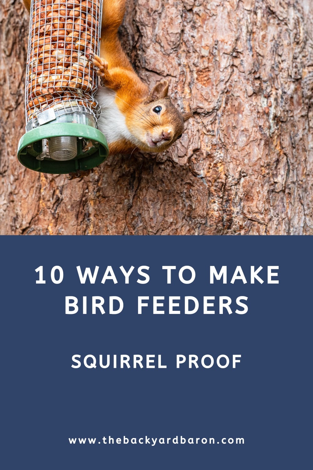 Squirrel proofing bird feeders (10 practical tips)
