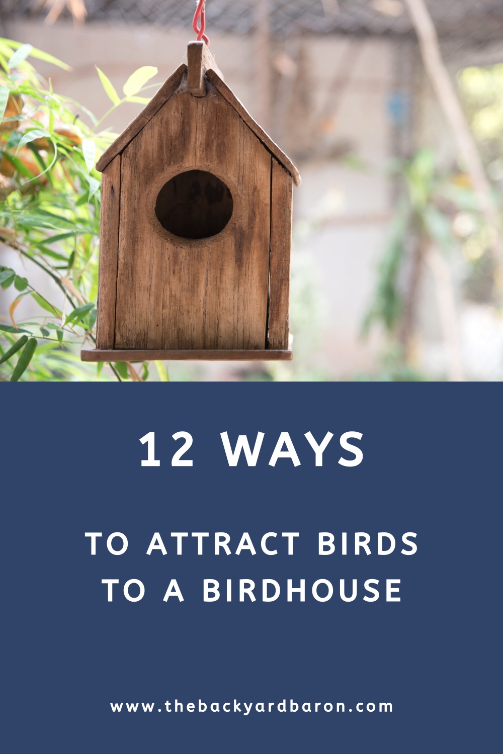 12 Ways to attract birds to a birdhouse