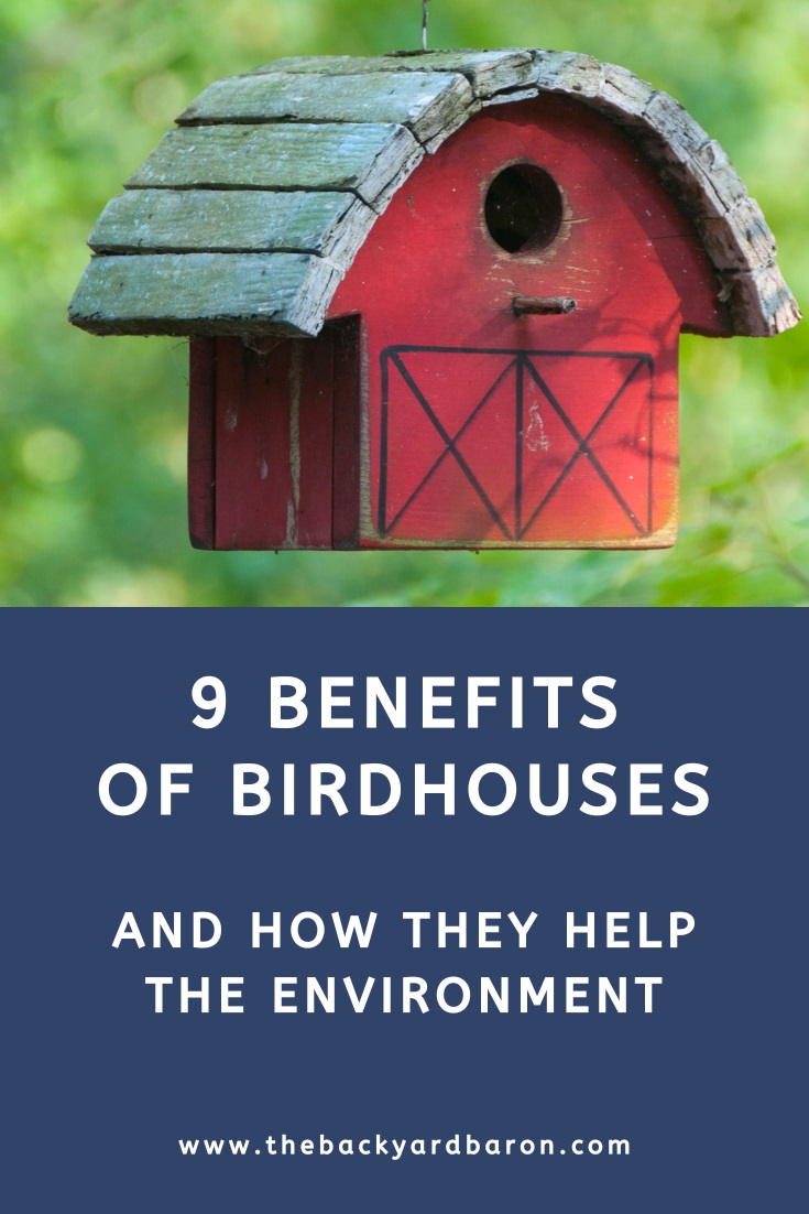 9 Benefits of birdhouses