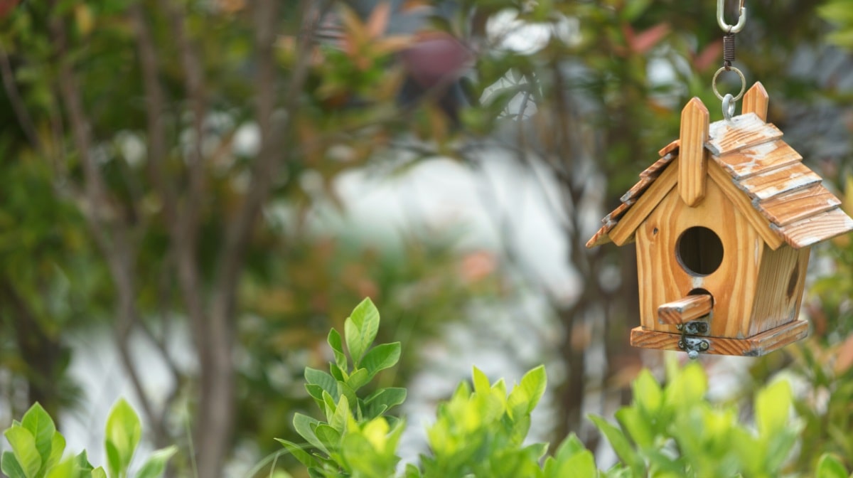 Birdhouse benefits for the environment