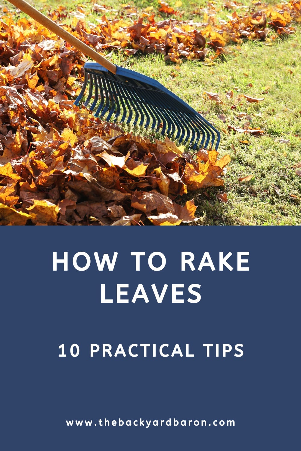 How to rake leaves (10 practical tips)