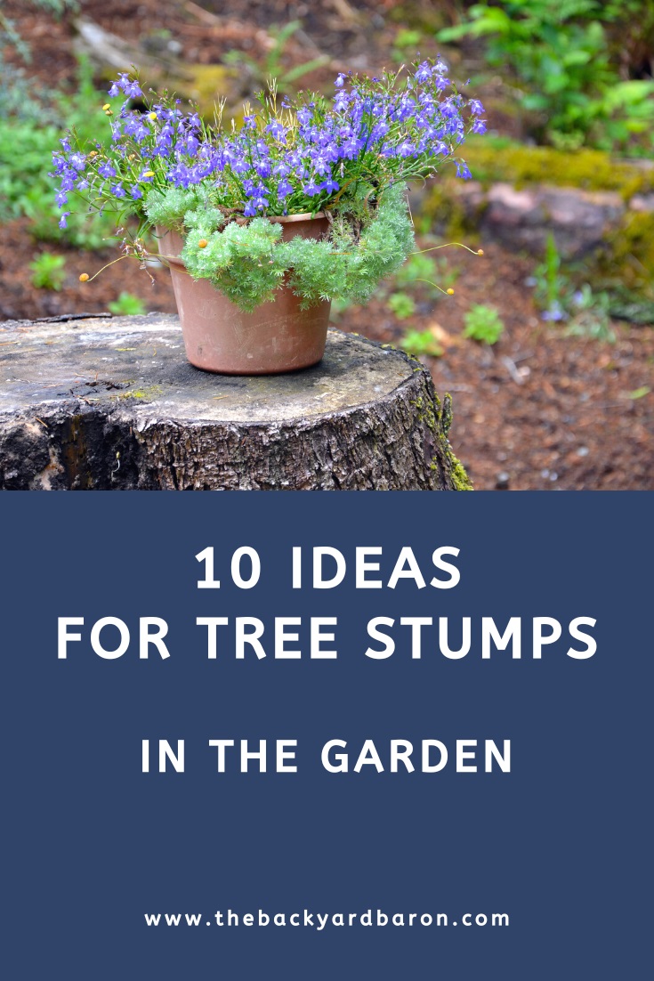 10 Tree stump landscaping ideas in the garden