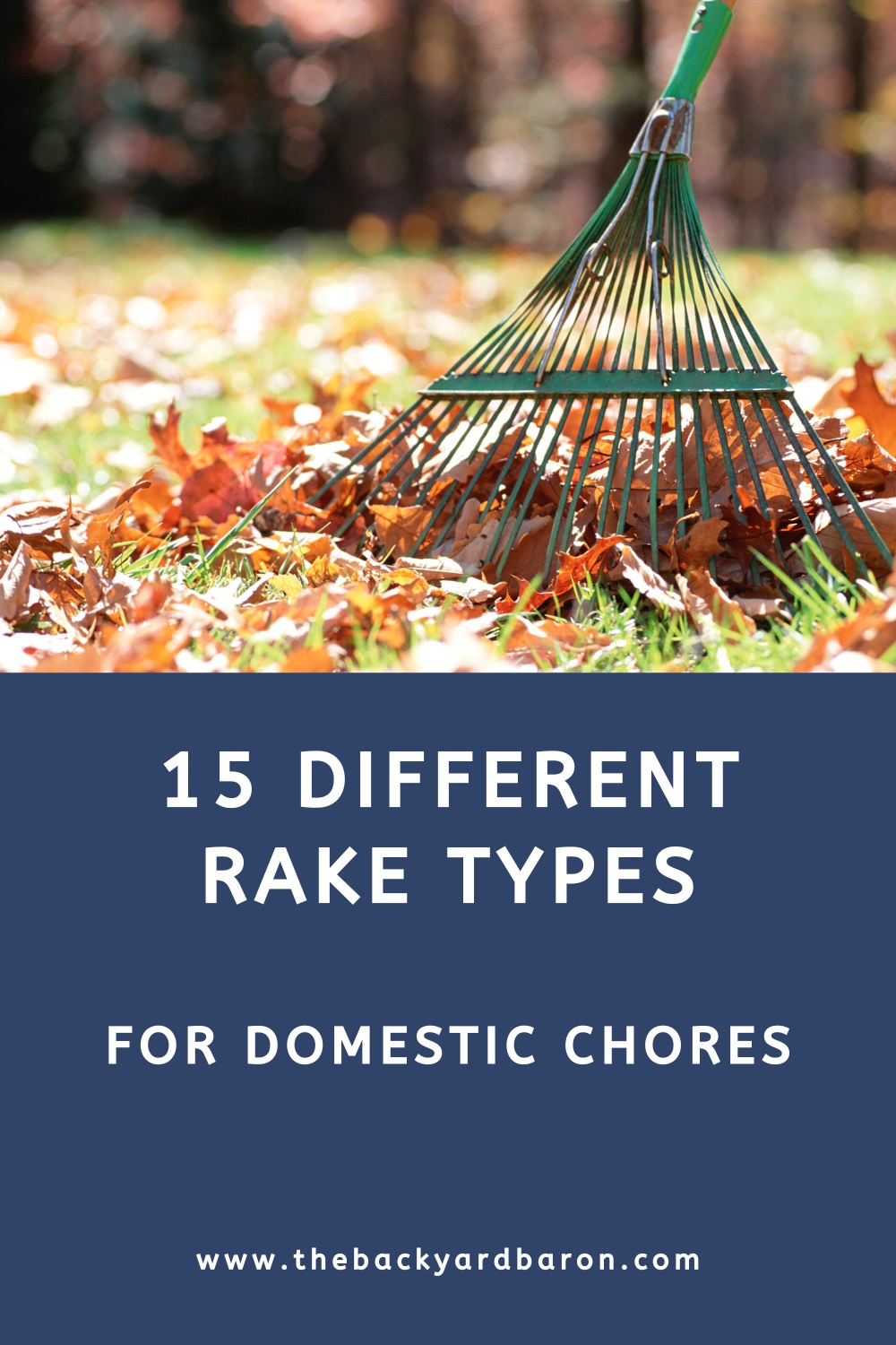 15 Different rake types for domestic use