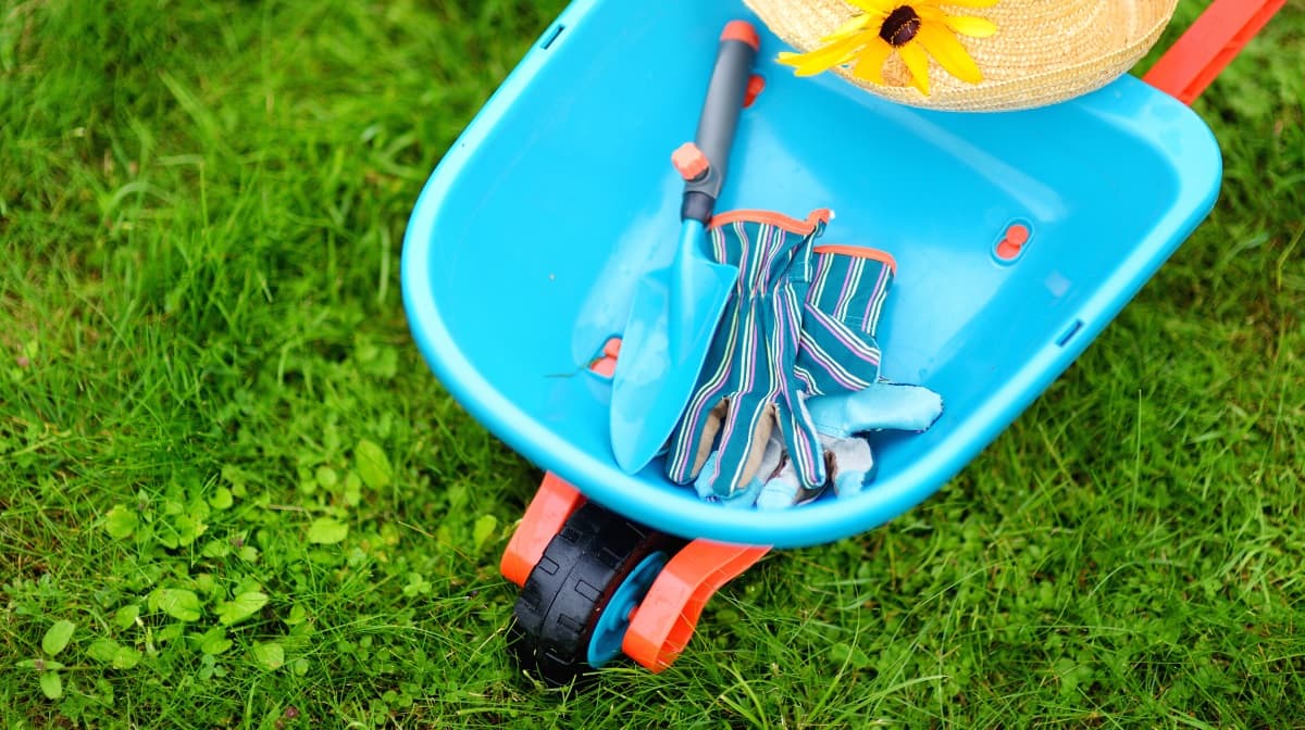Best backyard toys for toddler and kids