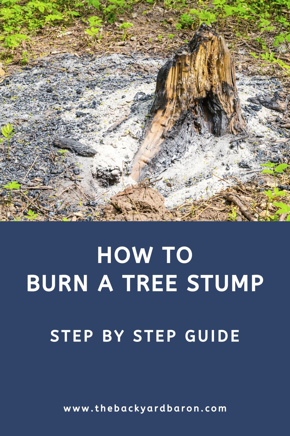 Guide to burning tree stumps