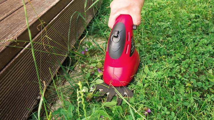 Best cordless grass shears