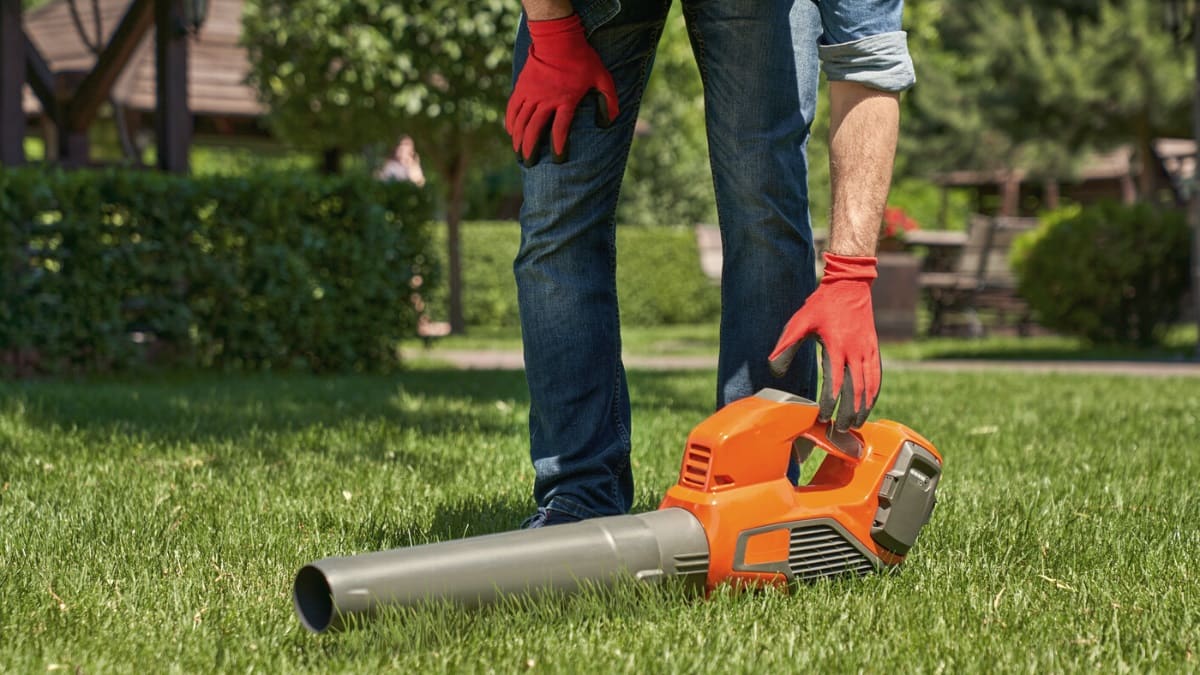 Leaf blower buying guide