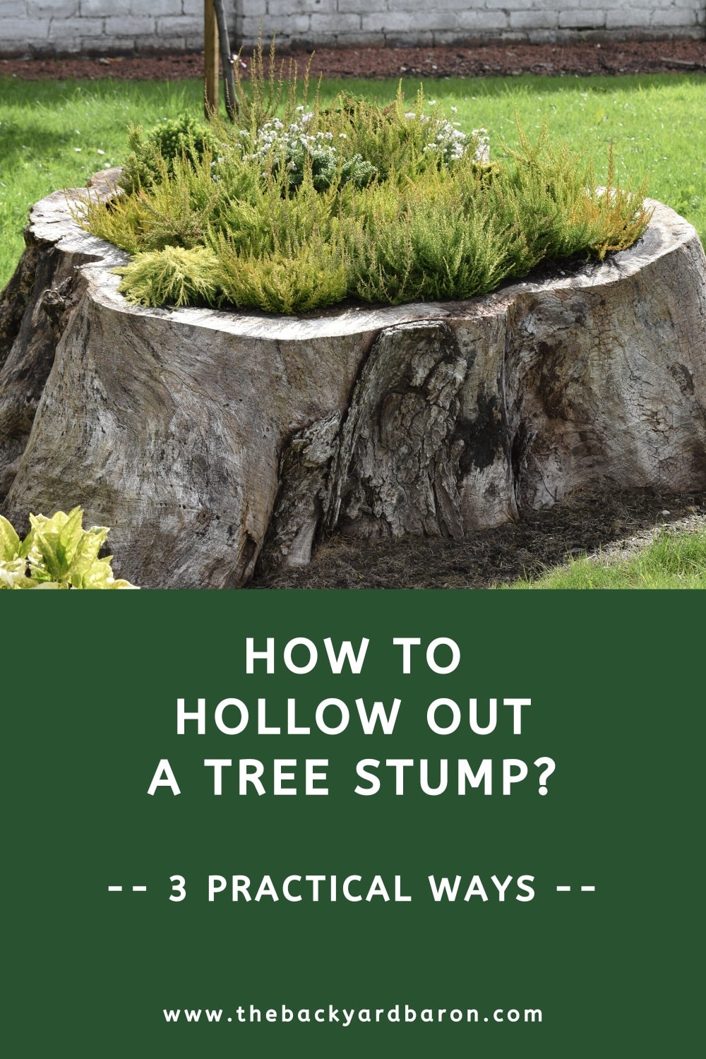 How to hollow out a tree stump (3 ways)