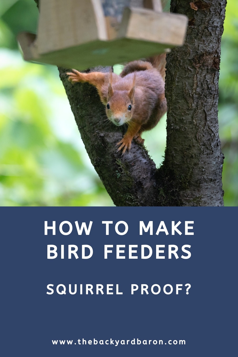 10 Ways to make bird feeders squirrel proof