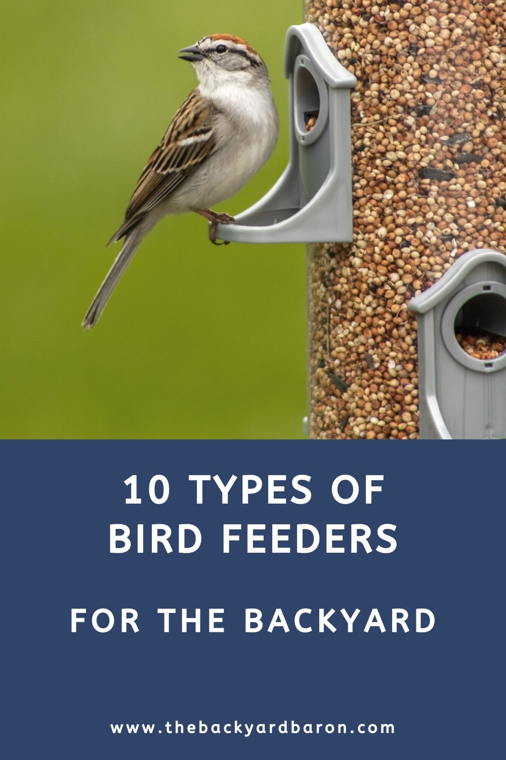 10 Types of bird feeders for the backyard