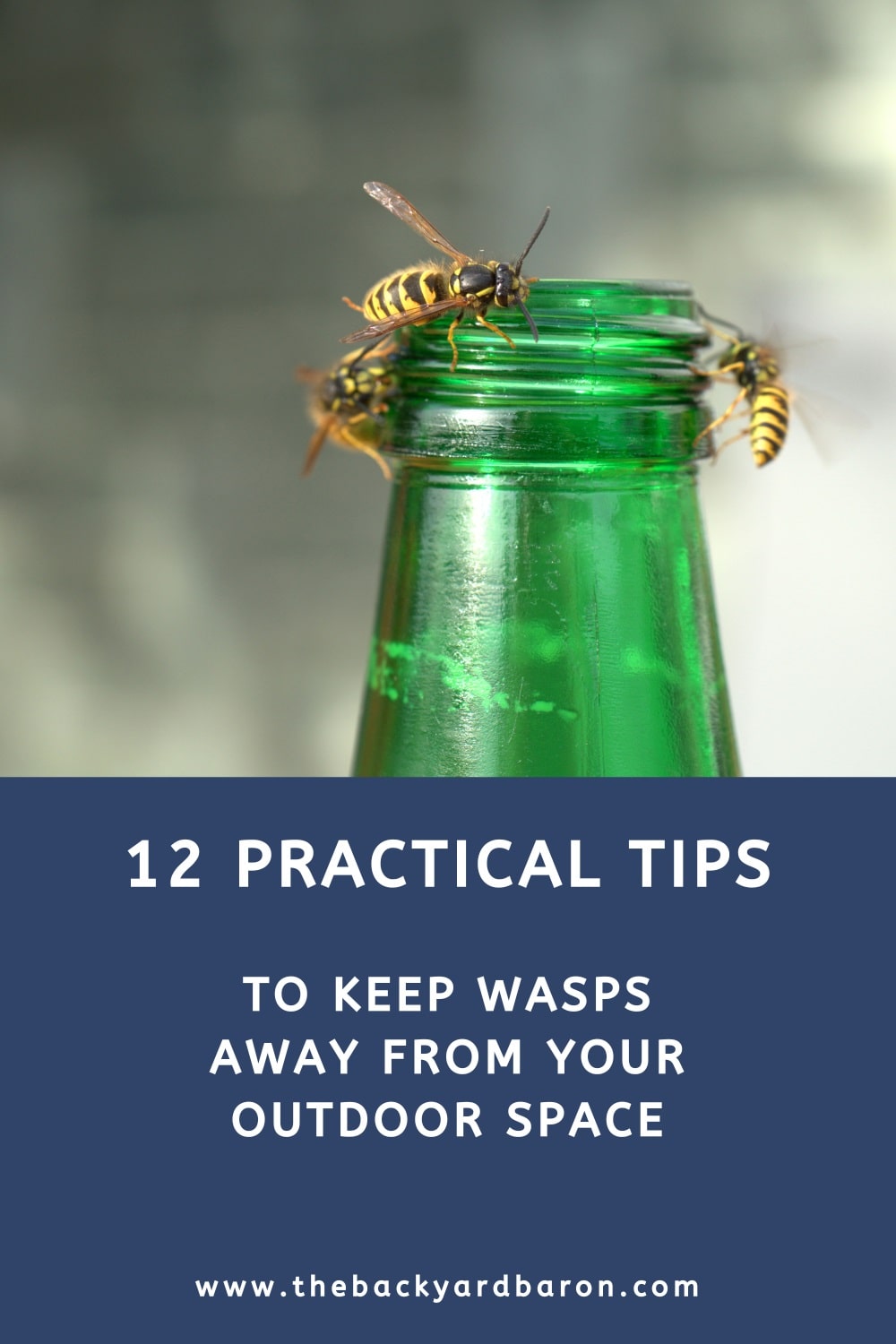 12 Practical tips to keep wasps away from your outdoor space