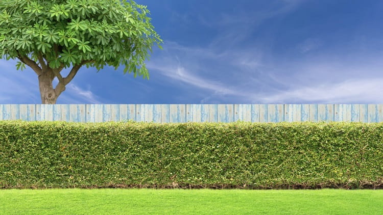 Simple backyard landscaping ideas